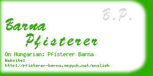 barna pfisterer business card